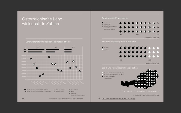 Infografik Broschüre